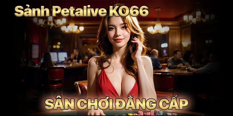 Giới thiệu về sảnh Petalive của KO66